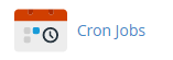 Click on Cron jobs